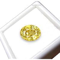 7.25 CARAT Yellow Sapphire Stone Original and Certified Natural Pukhraj Unheated and Untreated Gemstone for Men and Women by kanishkaarts