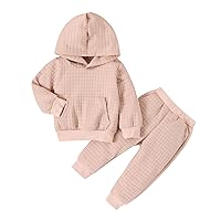 Toddler Baby Girls Infant Winter Warm Hoodie Sweatshirt Ribbed Thick Suit Solid Long Sleeve Pants 2 Piece Clothes Set