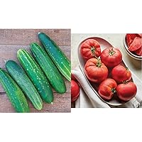 Burpee Straight Eight Slicing Cucumber 200 Seeds & 'Delicious' Beefsteak Slicing 1-2lbs Tomato 100 Seeds Bundle