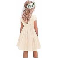 2Bunnies Girl Paisley Lace Back A-Line Straight Tutu Tulle Party Flower Girl Dress