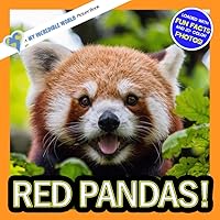 Red Pandas!: A My Incredible World Picture Book for Children (My Incredible World: Nature and Animal Picture Books for Children)