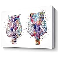 MBARE Pastel Watercolor Wall Art,Thyroid Gland Watercolor Print Clinic Decor Respiratory System Endocrinology Medical Art Science Art Endocrine Art Hospital~-8
