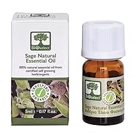 Sage Natural Essential Oil (5ML)