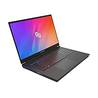 Vector Pro (2021) 17.3 inch RTX 3080 Gaming Laptop, Intel Core i7 11800H Processor, NVIDIA GeForce RTX 3080 16GB GPU, 17.3 inch 165Hz QHD Display, 32GB DDR4 RAM, 1TB NVMe SSD, Windows 10 Pro