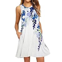 Floral Summer Dresses for Women 2024 Summer Dresses for Women 2024 Floral Print Vintage Fashion Casual Loose Fit with Sleeveless Scoop Neck Dress Light Blue Small