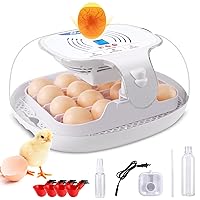 Sailnovo Egg Incubator for Hatching Chicks, 16-35 Eggs Incubator with Automatic Water Top-up, Auto Turning, Egg Candler, ℉ Display, 360° View Poultry Incubator for Hatching Chicken, Blue