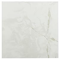 Achim Home Furnishings FTVMA40220 Nexus 12-Inch Vinyl Tile, Marble Classic White with Grey Veins, 20 Count (Pack of 1), White/Grey Vein Marble