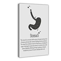 Stomach Medical Poster Canvas Poster Wall Art Decor Print Picture Paintings for Living Room Bedroom Decoration Frame: Frame:20x30inch(50x75cm)