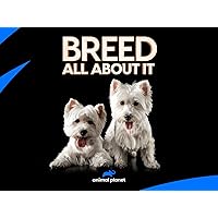 Breed All About It - Season 6
