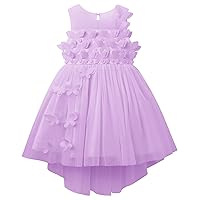 Baby Girls Birthday Party Dres Butterfly Embroidery Princess Tulle Tutu Wedding Pageant Evening Prom Ball Gown