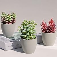 Mingfuxin Artificial Plants, 3 Pack Realistic Faux Succulents in Pots with Flowers for Indoor Office Desk Decor Home Bedroom