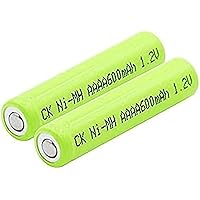 2 Pack 1 2V AAAA 600Mah Am6 Lr61 Ni-Mh Rechargeable Batteries   for Surface Pen   Alarm Clock   Flashlight   Mini Fan