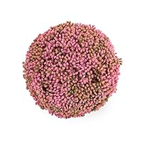 Boston International Decorative Faux Topiary Plant Ball, Pink Floral Mulberry 4.75 Inch