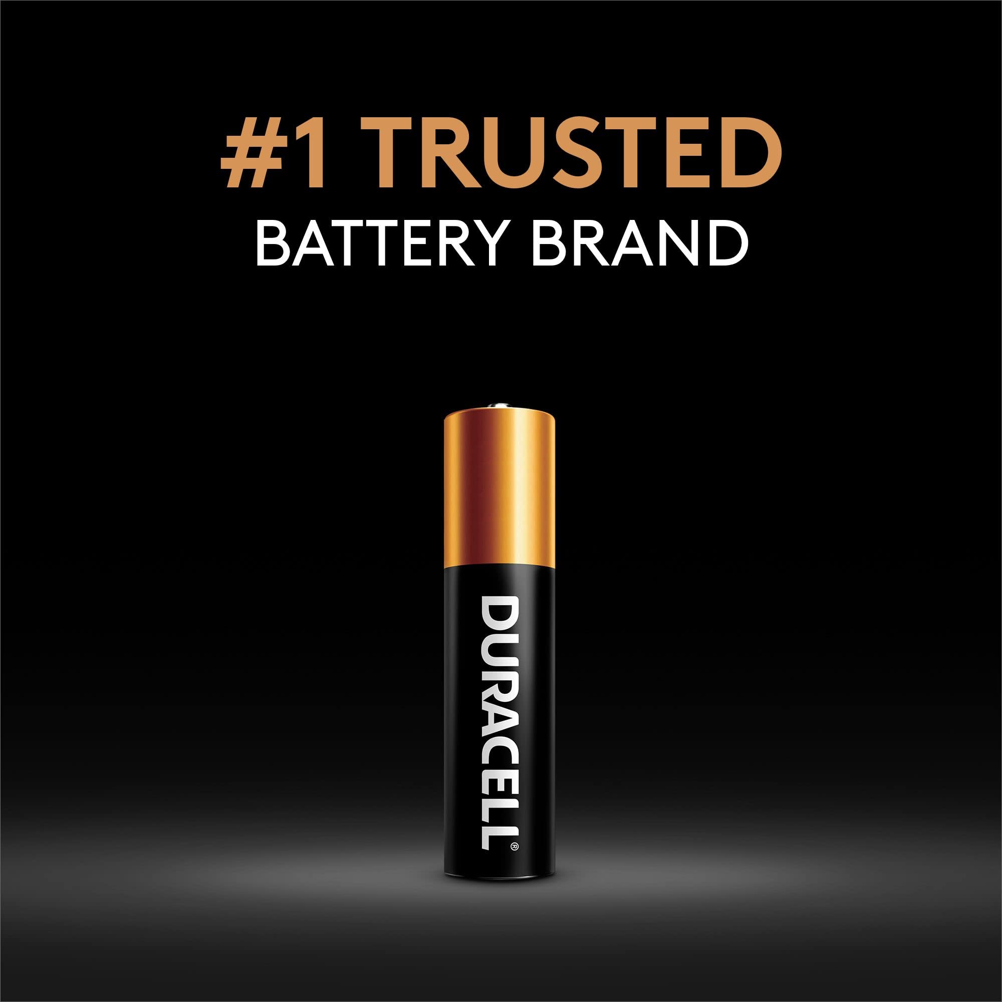 Duracell AAAA 1.5V Ultra Photo Alkaline Batteries, 2 Count Pack, AAAA 1.5 Volt Alkaline Battery, Long-Lasting for Cameras, Glucose and Blood Monitors, and More