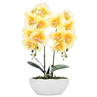 Large Artificial Potted Orchid Plant, Silk Flower Arrangement with Ceramics Vase, Yellow