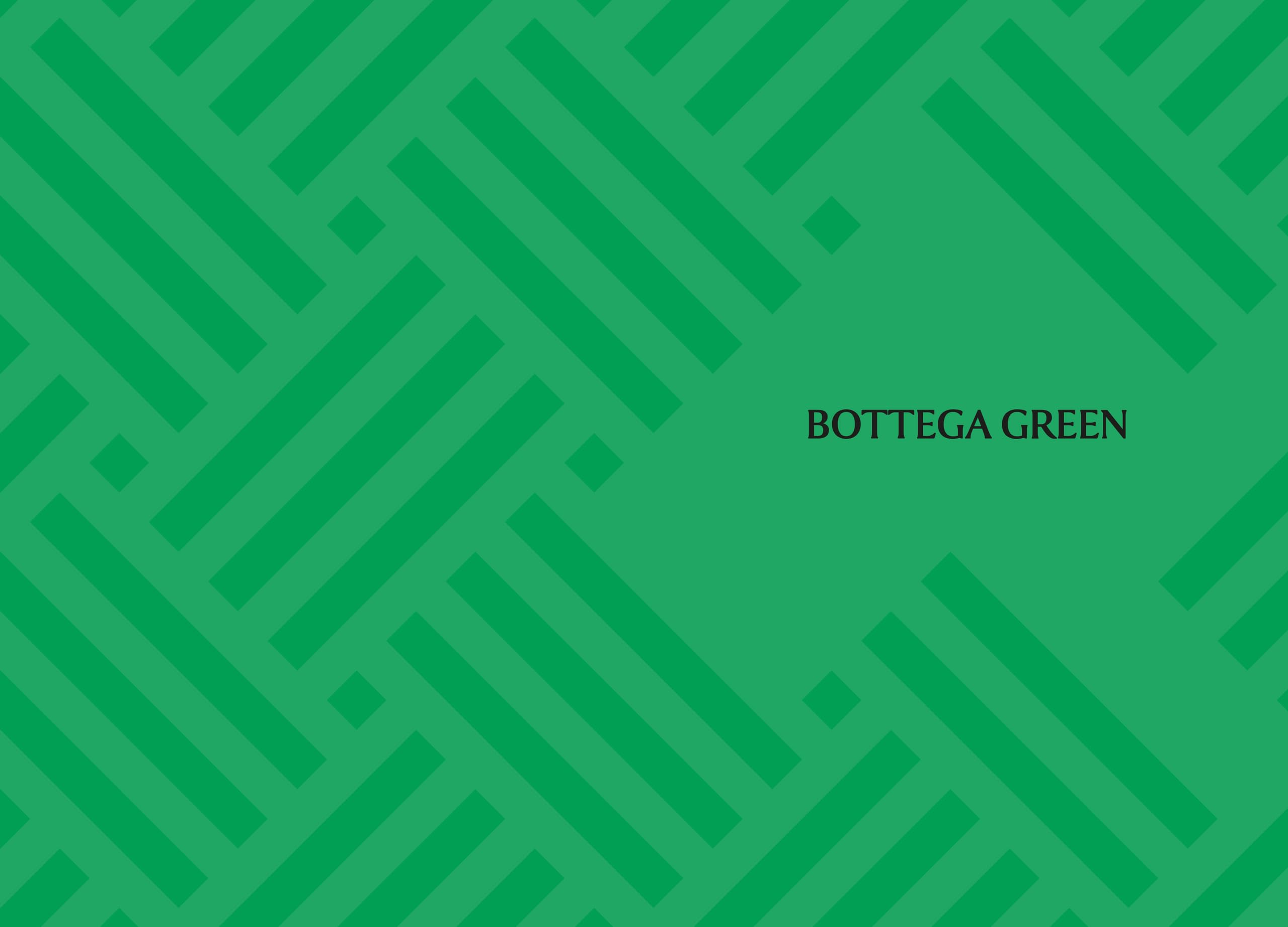 Little Book of Bottega Veneta: The Story of the Iconic Fashion House (Little Books of Fashion, 30)