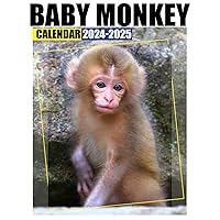 Baby Monkey Calendar 2024 - 2025: 24 Months Jan 2024 to December 2025, Thick & Sturdy Paper, Great Gift For Organizing & Planning