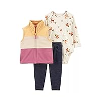 Carter's Baby Girls' 3 Piece Vest Little Jacket Set (Colorblock Woodland, 9 Months)