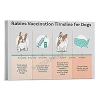 Rabies Vaccination Timeline for Dogs Pet Store Poster Pet Hospital Poster Canvas Painting Posters And Prints Wall Art Pictures for Living Room Bedroom Decor 20x30inch(50x75cm) Frame-style