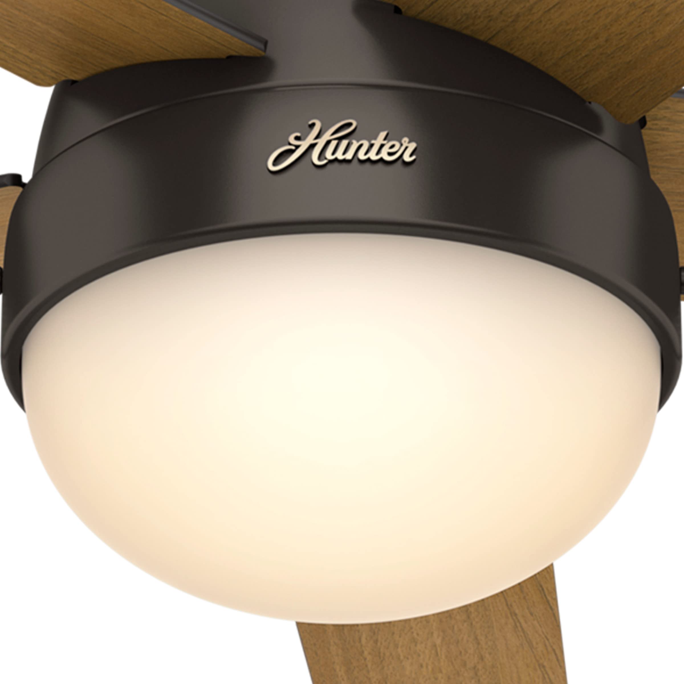 Hunter Fan Company, 59268, 46 inch Anslee Premier Bronze Low Profile Ceiling Fan with LED Light Kit and Pull Chain