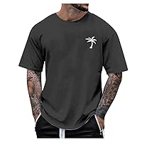 Men's T-Shirt Plus Size Short Sleeve Top Summer Printed Fashion Shirt Outdoor Sports T Shirts Trendy Short Sleeve Retro Father's Day Gift