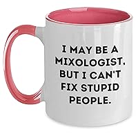 Gifts for Mixologists | Funny Gifts | Mixologist Two Tone Coffee Mug | Sarcastic Gifts from Mixers | I May Be a Mixologist, But I Can't Fix Stupid People | Gifts for Mother's Day