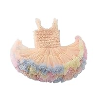 Baby Girls Mesh Tulle Tutu Dress Toddler Sleeveless Baby Girl Rainbow Tutu Princess Skirt Dress Princess Smocked