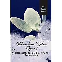 Kalanchoe 'Silver Spoons': Unlocking the Magic of Desert Plants, For Beginners