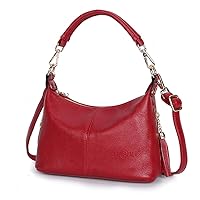 MINTEGRA Womens Handbags Hobo Shoulder Bag Crossbody Bag Shoulder Purse with Tassel