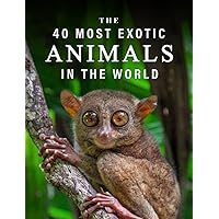 The 40 Most Exotic Animals in the World: A full color picture book for Seniors with Alzheimer's or Dementia (The 