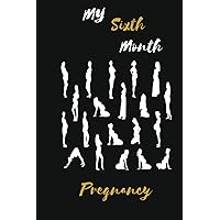 My Sixth Month pregnancy Journal: Lined Notebook / Journal Gift, 120 Pages, 6x9, Soft Cover, Matte Finish