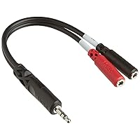 Hosa YMM-261 3.5 mm TRS to Dual 3.5 mm TSF Stereo Breakout Cable, Black