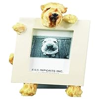 Wheaten Terrier Picture Frame Holds Your Favorite 2.5 by 3.5 Inch Photo, Hand Painted Realistic Looking Wheaten Terrier Stands 6 Inches Tall Holding Beautifully Crafted Frame, Unique and Special Wheaten Terrier Gifts for Wheaten Terrier Owners