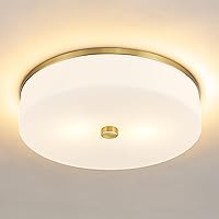 LMS Flush Mount Ceiling Light Fixture, Modern Brushed Gold Bathroom Ceiling Light with Drum Milky White Acrylic Shade, Kitchen, Living Room, LMS-192