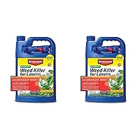BioAdvanced Southern Weed Killer for Lawns, Ready-to-Use, 1 Gal (Pack of 2)
