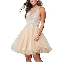 Short Tulle Prom Dress for Teens Homecoming Dresses Lace Applique Beading Evening Party Cocktail Gowns