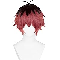 Sousou no Frieren Stark Wig, Black Red Fluffy Spiky Wig + Wig Cap for Frieren Beyond Journey's End Halloween Christmas Costume Party