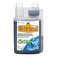 Absorbine Bute-Less Long-Term Horse Comfort & Recovery Supplement Solution, Gentle on Stomach, Devil's Claw, Vitamin B-12, Yucca, 32oz / 32 Day Supply