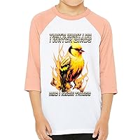 I Watch Birds and I Know Things Kids' Baseball T-Shirt - Art 3/4 Sleeve T-Shirt - Flame Baseball Tee