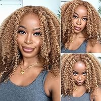 Beauty Forever Bye Bye Knots Glueless 6x4.75 Pre Cut Lace Honey Blonde Highlight Wigs Jerry Curly Human Hair Wigs,TL412 Curly Lace Closure Wig With Breathable Cap 150% Density 16 Inch