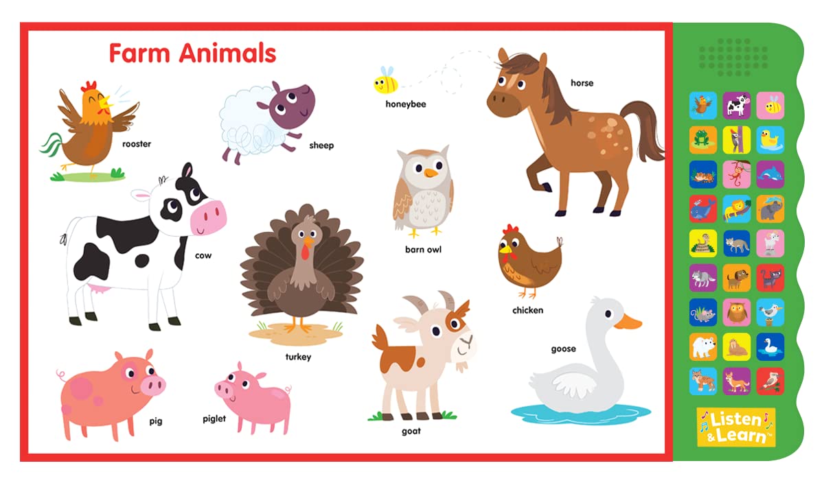 Let's Learn Animals-With 27 Fun Sound Buttons, this Book is the Perfect Introduction to Animals!