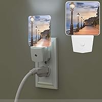 Street lamp Print Night Light with Light Sensors Plug in LED Lights Smart Nightstand Lamp Plug in Night Light for Bedroom Bathroom Hallway Home Decor