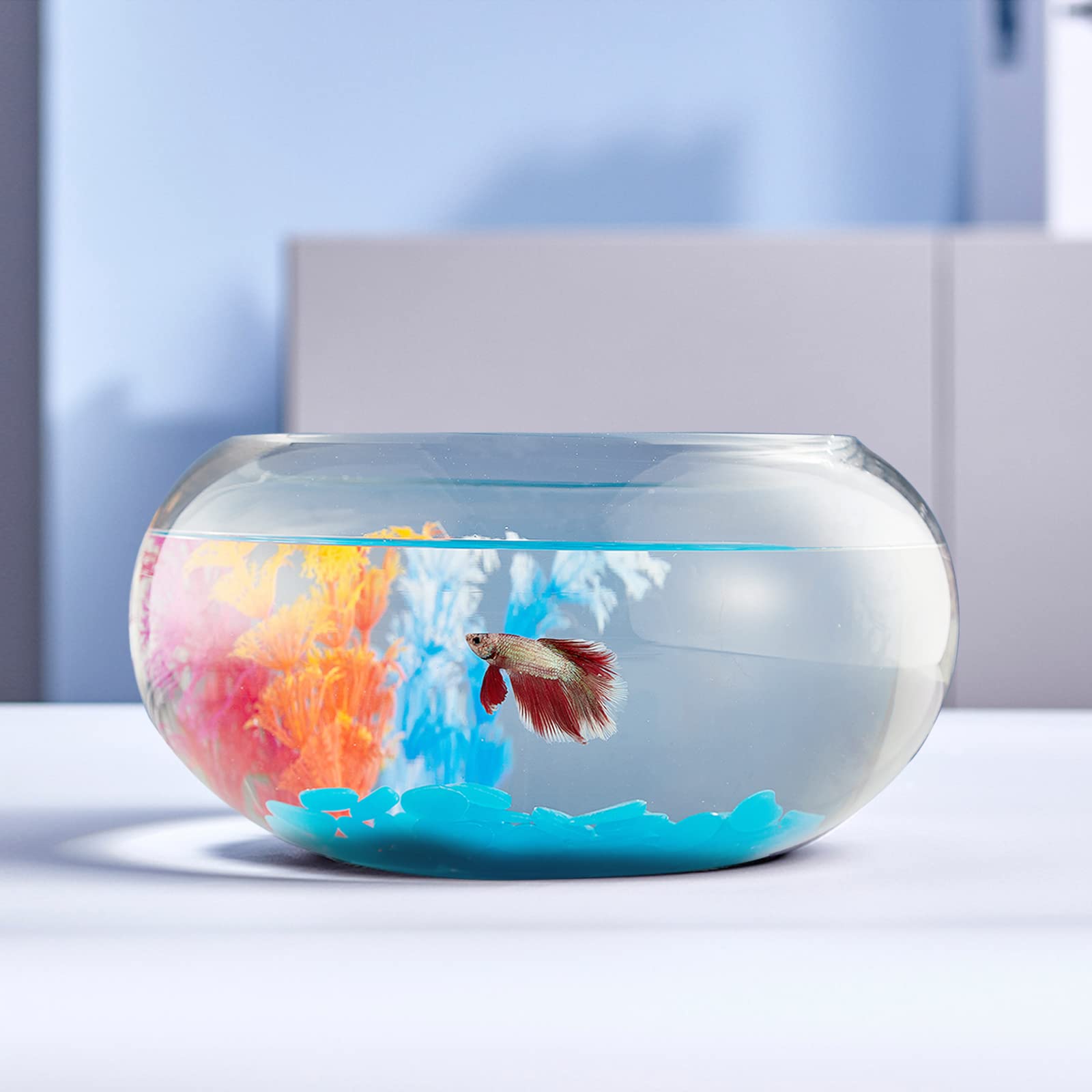 Mua LAQUAL 2 Gallon Glass Fish Bowl with Decor, Include ...