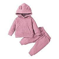 Spring And Autumn Children's Wear Casual Letter Printing Color Block Hooded Children's Baby Sweater Set Clothes Set