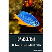 Damselfish: 10 Types & How to Keep Them Damselfish: 10 Types & How to Keep Them Paperback Kindle