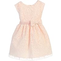Cap Sleeve Embroidered Organza Bow Little Girl Special Occasion Dresses
