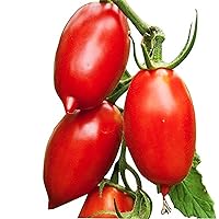 Amish Paste Tomato Seeds - Ultimate Paste Tomato for Sauces - Non GMO
