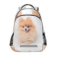ALAZA Pomeranian Dog Backpacks Travel Laptop Daypack School Book Bag for Men Women Teens Kids
