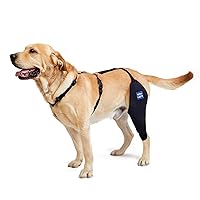 Dog Knee Brace with Harness and Connection Belt, Lightweight and Stretchable, Support for Torn ACL Hind Leg, Luxating Patella, Reduces Arthritis Pain and Inflammation (Large)