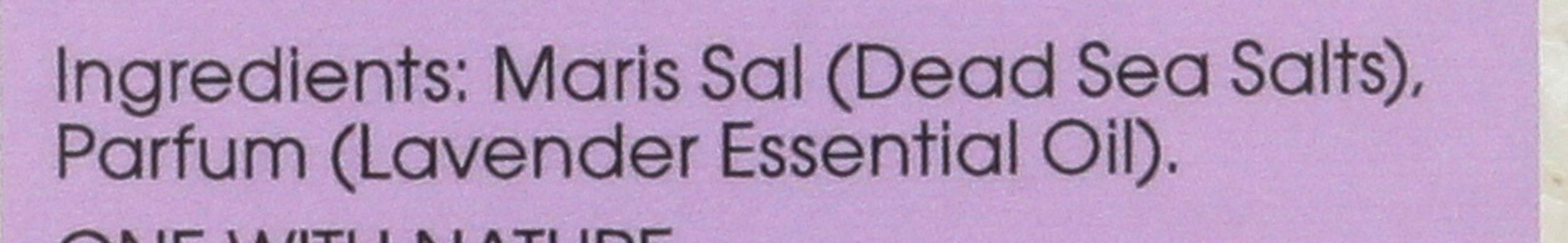 Dead Sea Mineral Salts, Lavender, 32 oz (907 g), One with Nature